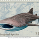 Illustration for article titled The Art on These Endangered Species Stamps Is Incredible